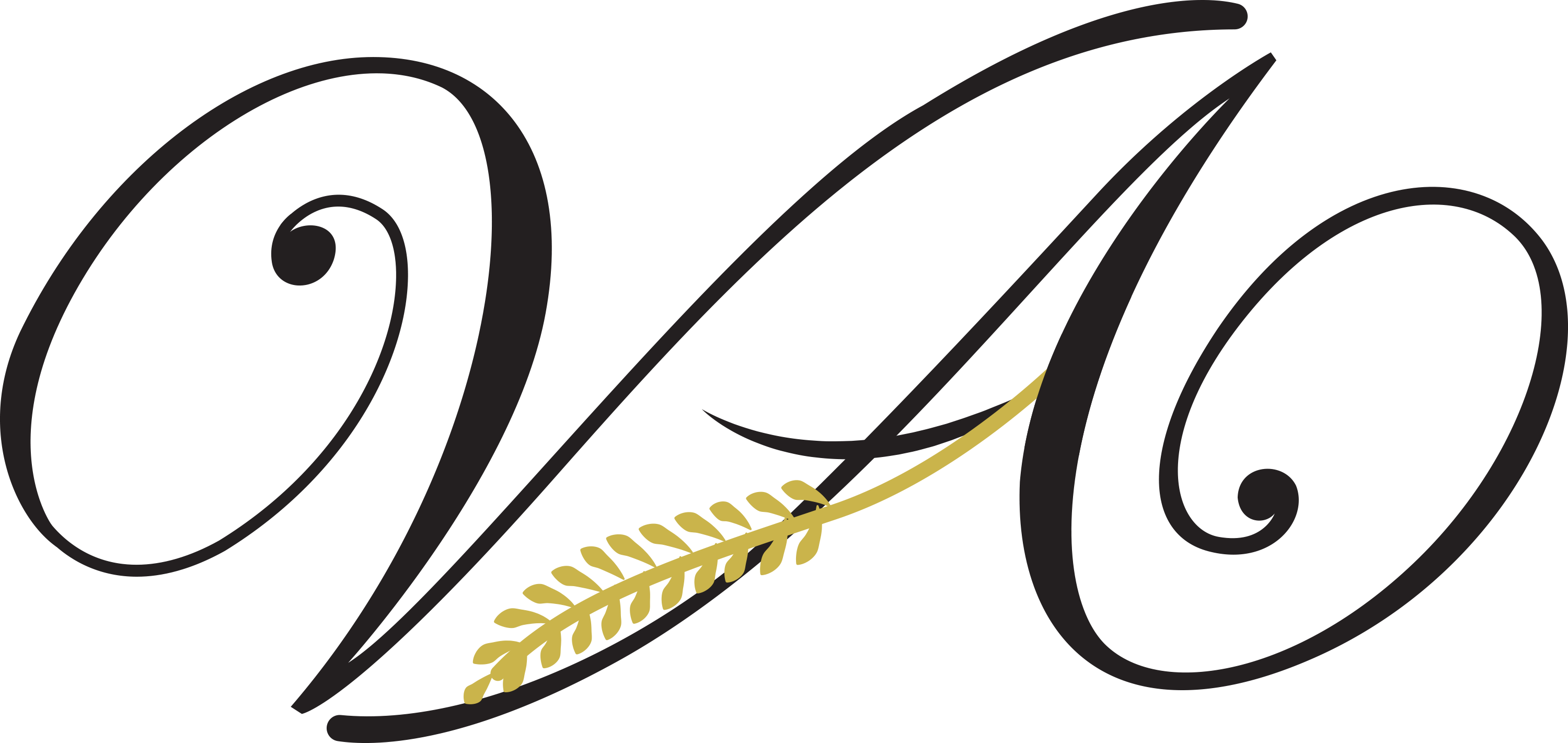 VA Logo 2022